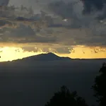 Castanito