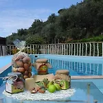 Castanito Vico Equense