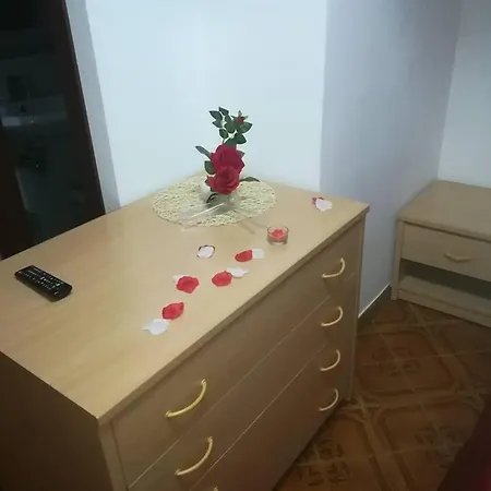 Castanito فيكو إيكوينس