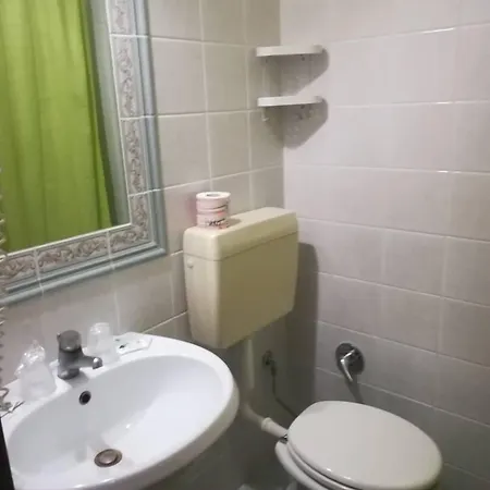 Castanito فيكو إيكوينس