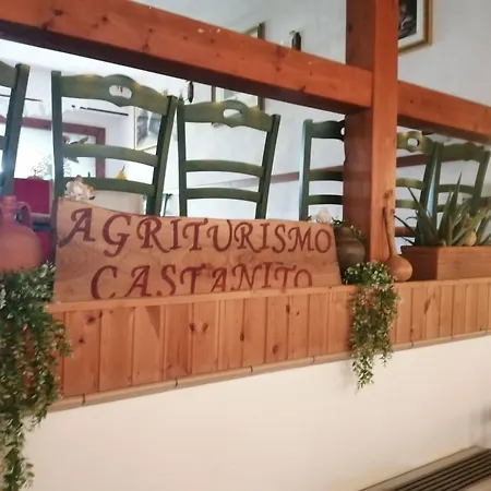Castanito * فيكو إيكوينس