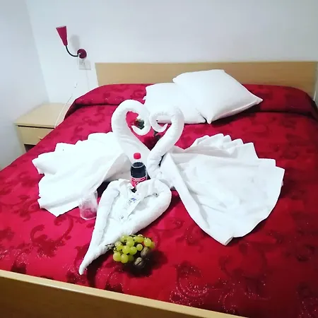 Castanito فيكو إيكوينس