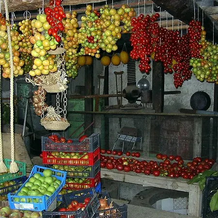 مزرعة للإقامة Castanito *