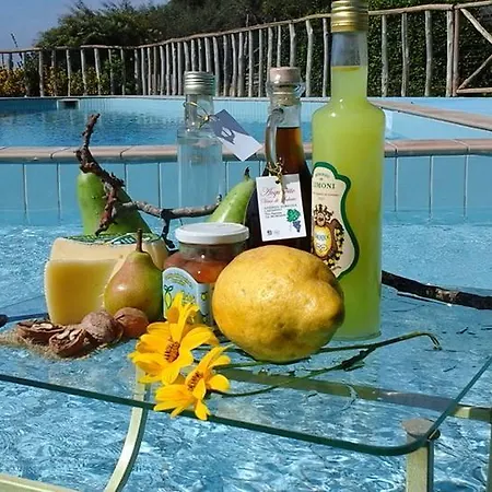 Castanito مزرعة للإقامة فيكو إيكوينس