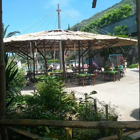 Castanito *