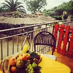Farma Castanito